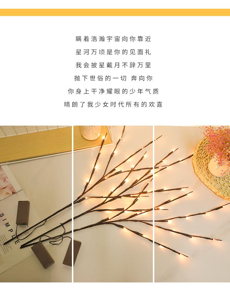 详2.jpg?x-oss-process=image/format,png