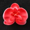 Materiais de Embalagem para Buquês Jemi, Suprimentos para Floristas, Embalagem Floral, Spray Corante à Base de Água, Tinta Spray, Spray para Flores