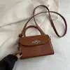 Bolsa Pequena Lisa de Alta Qualidade Feminina 2025 Nova de Nicho Bolsa de Mão em Couro Macio Versátil de Ombro Único Transversal Pequena Quadrada para Mulheres