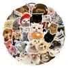 50 Paquetes de Pegatinas de Gatos Transfronterizos, 50 Pegatinas Lindas de Gatos, Tazas de Agua para Computadora, Teléfonos Móviles, Graffiti Impermeable Realista