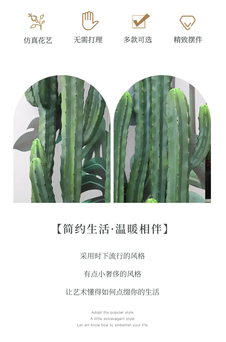 新款神龙木仙人掌系列_02.jpg