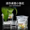 Vaso Quadrado de Vidro Transparente Simples Vaso de Flores Quadrado Vaso Hidropônico para Jiboia Cultura em Água Tanque de Peixes Recipiente Hidropônico