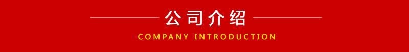公司介绍