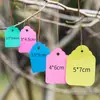 100 etiquetas colgantes de plástico de colores PVC para plantas jardinería de flores macetas etiquetas colgantes pequeñas etiquetas colgantes para plántulas etiquetas para suculentas