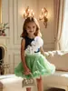Explosiones Transfronterizas de Amazon Conjunto de Falda con Top de Flor Tridimensional para Niños Pengkirt Traje de Niña Verano Nuevo 2025