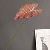 Folha Simulada Monstera Folha Pavão Preto Suprimento Estrangeiro Modelo de Casa Escandinava Espaço de Exposição Decoração de Paisagem de Casamento