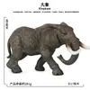 Modelo Animal Cognitivo Artificial Tigre Leão Cavalo Vaca Veado Urso Polar Elefante Canguru Orangotango Enfeites Brinquedos Infantis