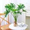 La planta en maceta Philodendron tolera la sombra y es fácil de cuidar, una planta de interior hidropónica, Monstera, de hoja perenne y fácil de mantener, una buena planta para escritorio