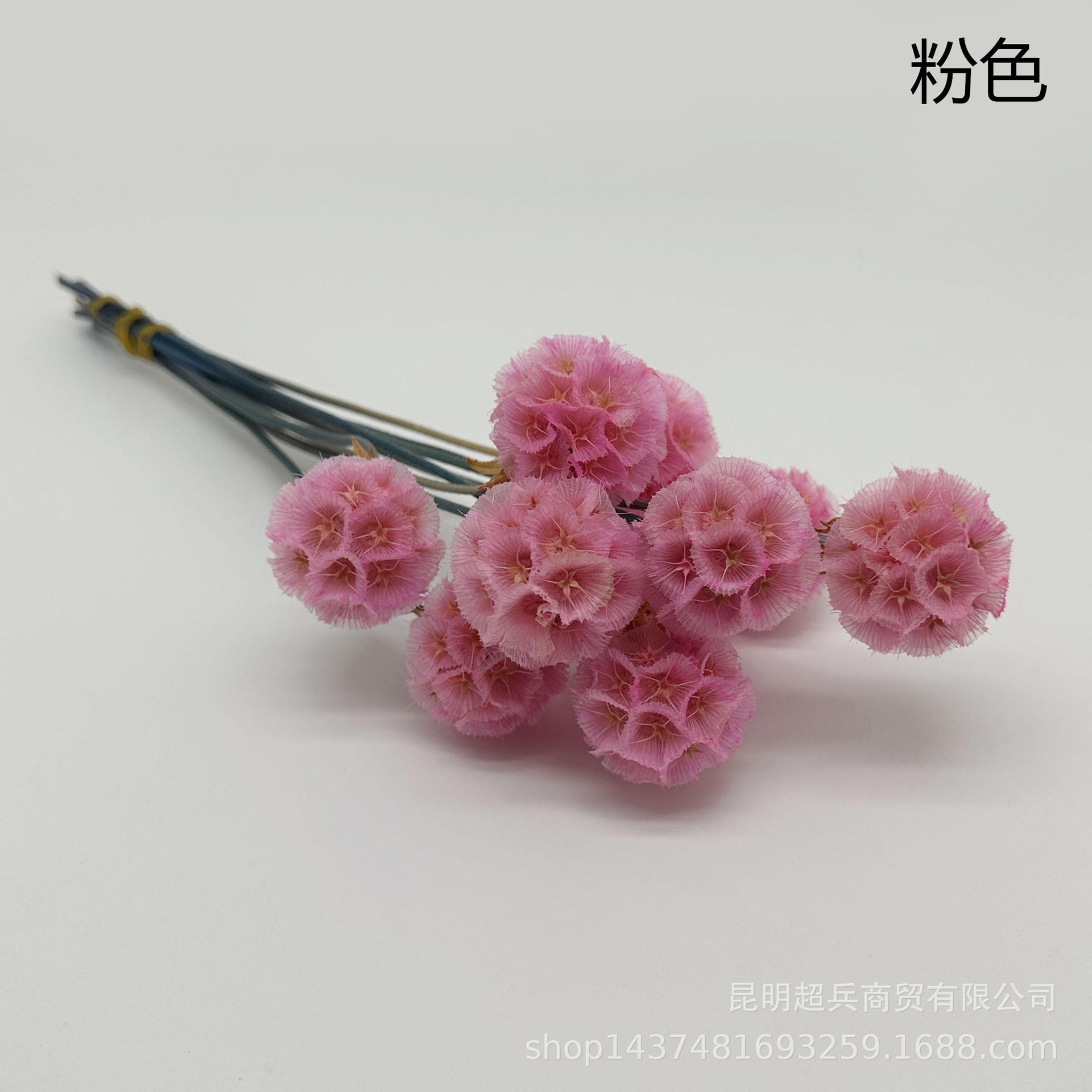 6粉色.jpg