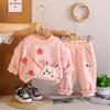 Roupas para Meninas Outono e Inverno Conjunto de Duas Peças Espesso com Forro de Lã Conjunto de Roupa de Inverno para Bebê Menina de 1 a 3 Anos Roupas da Moda