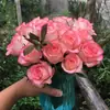 Plántulas de Rosa Gypsophila Ultra Finas, Plántulas de Rosas Florecientes, Florales de Maceta de Cuatro Estaciones, Plantas Trepadoras, Rosales y Plantas Verdes