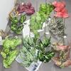 Folhas de pássaro louco Folhas de taro Alocum Cerimônias de casamento Auditório de casamento Decoração floral suave Simulação Planta verde Folhas de vitrine de shopping