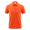 Camisa de publicidade Camisa Polo Macacão Estampagem LOGO Roupas de trabalho masculinas e femininas Camisa cultural de equipe corporativa Camisa Polo