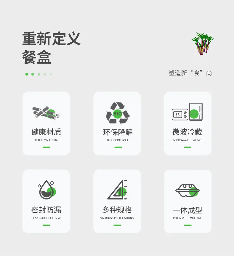 甘蔗分格餐盒2022_03.jpg