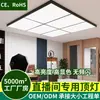 Luz Super Brillante Sin Sombras, Luz de Relleno Montada en Techo para Salones de Peluquería, Barberías, Tiendas de Ropa, Salas de Transmisión en Vivo Comerciales
