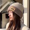 Daifa Otoño e Invierno Engrosado Invierno Nuevo Sombrero de Lana para Mujer de Moda Combinable para Cara Pequeña Protección Cálida para Orejas Sombrero de Punto Súper Grueso