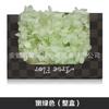 Hortensia de madera Flor eterna Rosa eterna central Caja de regalo Cubierta de vidrio Material de la flor Material de la flor preservada Material de la flor eterna