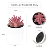 Más de 100 Tipos de Combinaciones de Plantas Suculentas Mini de Plástico Simuladas en Maceta, Mini Bonsáis Suculentos Más Vendidos Transfronterizos, Decoración para el Hogar, Adornos Creativos
