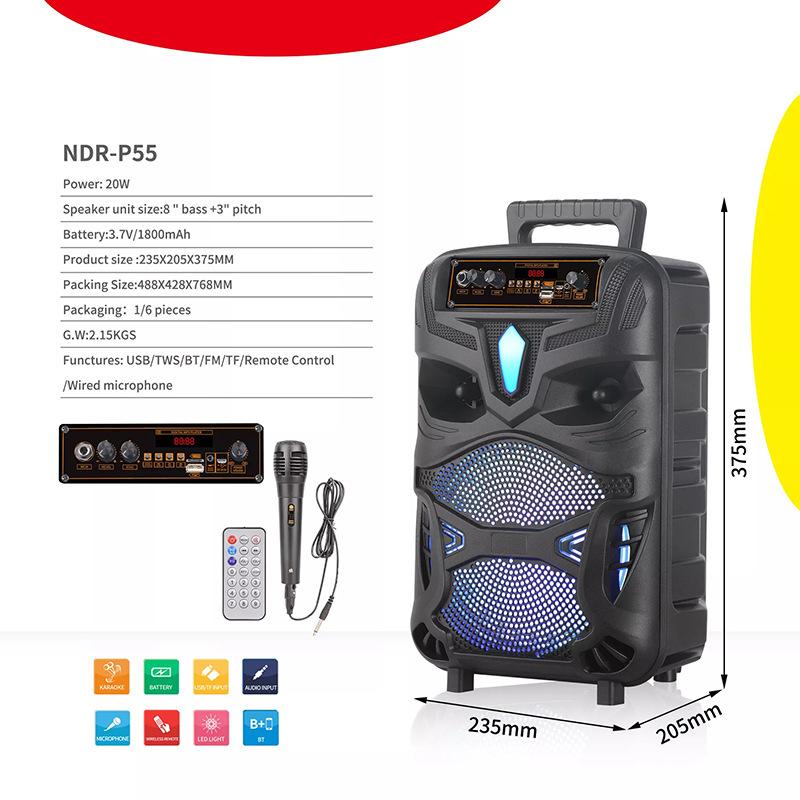NDR-P55-2.jpg