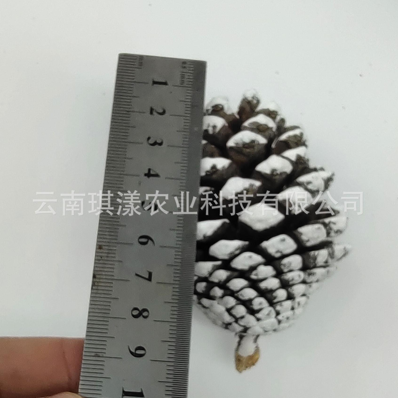 微信图片_20201016103531.jpg