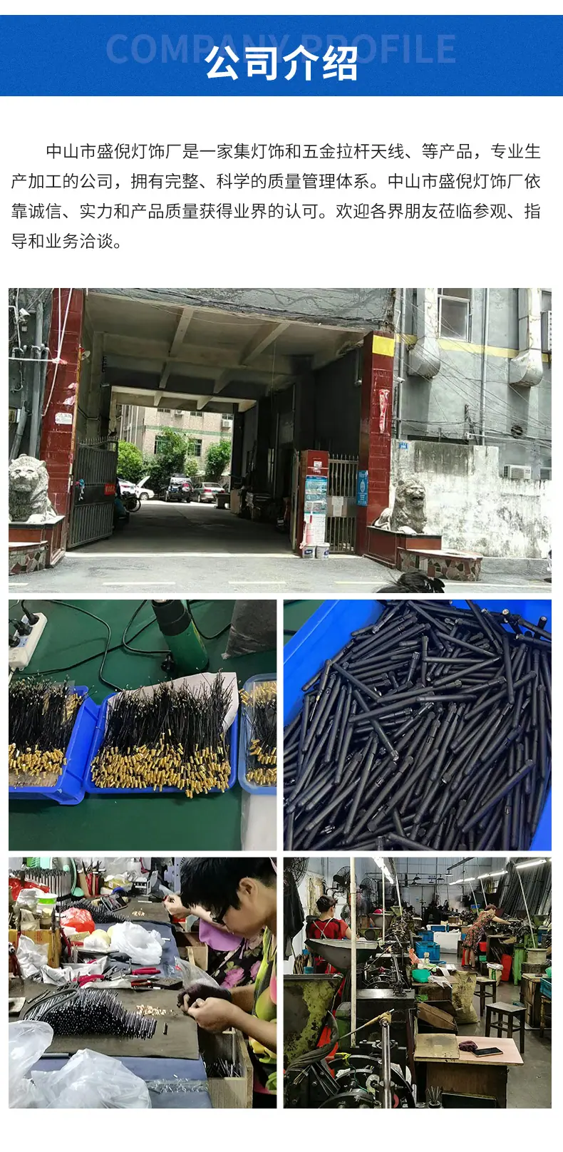 5273黄扁头_05