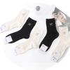 Nuevos Calcetines de Miu Estilo para Mujer Primavera y Otoño, de Media Pantorrilla, Doble Puño, Color Sólido, Calcetines Deportivos Simples, Productos Europeos de Nicho