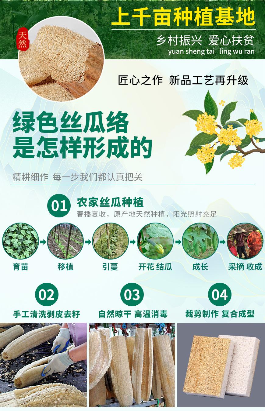 丝瓜基地_02木浆棉直角.jpg