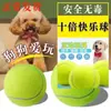 Juguete elástico de tenis para perros grandes, medianos y pequeños, resistente a mordeduras, pelota de entrenamiento de goma, suministros para mascotas