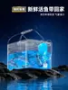 Cubo para Peces Vivos Modelo Nuevo, Cubo de Pesca, Caja Especial Engrosada para Peces Vivos para Pesca Salvaje, Canasta para Señuelos, Cubo para Peces, Cubo Protector de Peces, Caja de Pesca