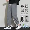 Nueva colección de otoño de pantalones casuales de seda helada, ligeros, versátiles y de corte holgado, disponibles en tallas grandes, pantalones largos deportivos de moda y estilos cropped
