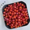 Abacaxi Laranja Tubo Reto Contas Soltas Raiz de Bodhi Acessórios Artesanais Peças para Joias DIY Decoração de Pulseira Venda por Atacado
