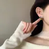 Pendientes Retro Marrón Maillard para Mujer Nuevos Pendientes de Otoño e Invierno Lujo Ligero Temperamento Pendientes de Gama Alta Pendientes de Estilo Étnico
