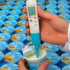 Medidor de pH de inserción para líquidos y semisólidos Detu testo206PH1, medidor de pH de laboratorio de alta precisión, bolígrafo de prueba 205