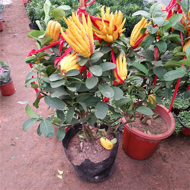 TB2XiASfX5N.eBjSZFvXXbvMFXa_!!