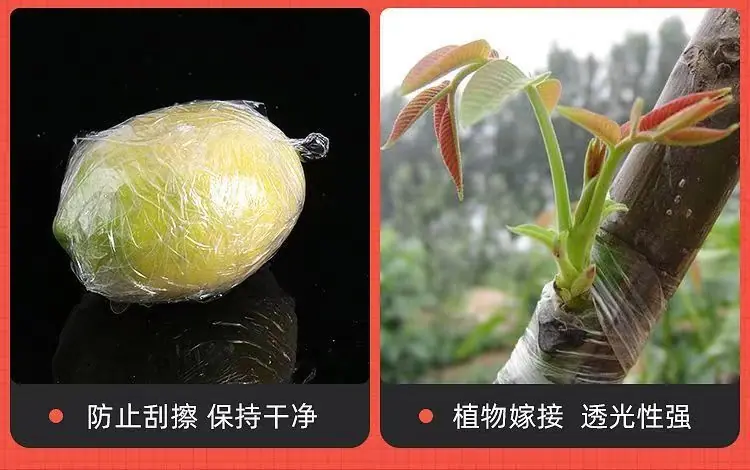 小16.jpg