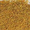 Abeja colza comestible qué polen colza polvo puro a granel al por mayor comestible polen de colza de Qinghai polen de abeja