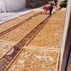 Paquete de ingredientes para sopa de abulón pequeño de siete estrellas, abulón Buddha Jiaoqiang, abulón de piedra seco, mariscos, no listo para comer