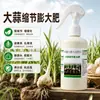 Promotor de crescimento de alho, melhora o tamanho do bulbo, previne acamamento, aumenta a produtividade, fornece micronutrientes essenciais como cálcio e magnésio, oferece nutrição completa e previne pontas secas e amarelecimento das folhas