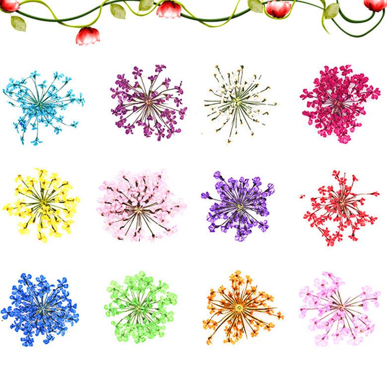 12-Colors-DIY-Nail-Art-Mixed-D