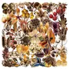 50 Hojas de Pegatinas Transparentes de Frutas Secas, Flores Realistas, Flores Secas, Impermeables, Paquete de Pegatinas para Material de Diario DIY