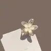 Pinza para el Cabello de Lazo Ojo de Gato para Mujer, Pinza Tiburón de Aleación de Gama Alta, para Peinado Semirecogido en la Parte Posterior de la Cabeza, Pinza de Garra Pequeña, Accesorios para el Cabello