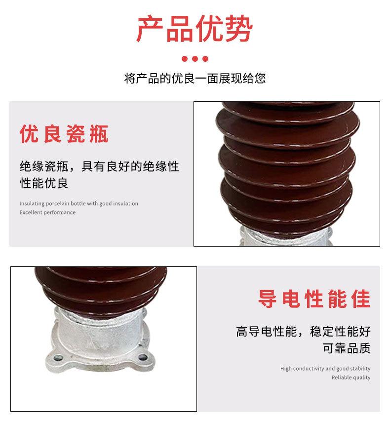陶瓷绝缘子(大)_05.jpg