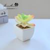 Suculenta Pequeño Bonsái Cerámica Muebles para el Hogar Decoración Fabricante de Jinhua Plantas Verdes Aliexpress Flor Artificial Plantas en Maceta