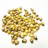 Escarabajo mariquita de madera Coccinella septempunctata Musgo micro paisaje joyería accesorios DIY para niños madera artesanía para el hogar