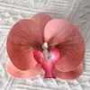 Cabezas de flores artificiales de orquídea mariposa, materiales para flores de pared, materiales para pasadores y accesorios para el cabello hechos a mano para DIY, piezas de flores y accesorios de pétalos para decoración de bodas