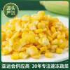Granos de Maíz Dulce Congelados Rápidamente Ingrediente para Ensalada de Arroz Horneado Estilo Occidental Comedor Comida Grupal Suministro de Ingredientes Congelados al Por Mayor