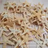 Varias Estrellas de Mar Naturales Materiales Hechos a Mano DIY Conchas Naturales Accesorios de Joyería Ventas Directas de Fábrica