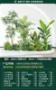 Set de Paisajismo Simulado para Exhibidores de Ventanas Interiores, Decoración de Escaleras, Paisaje de Plantas Verdes Simuladas, Arreglo de Jardín, Adornos de Decoración de Plantas en Maceta