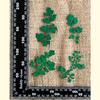 Tang Songye Baffed Flower Flor Seca Planta Em Relevo Amostra de Ensino DIY Marcador Feito à Mão Gota de Cola Flor Seca Capa de Celular