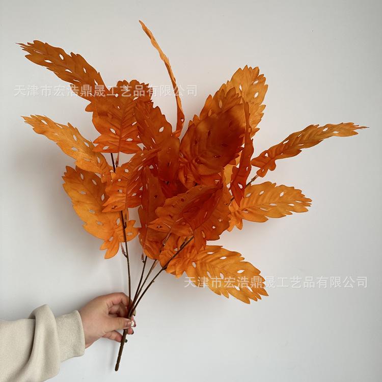 微信图片_202303241646126_副本